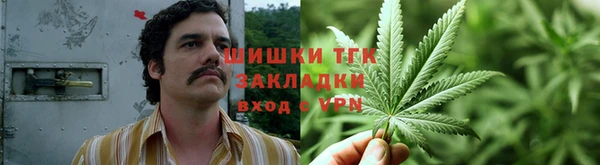 крисы Алексеевка