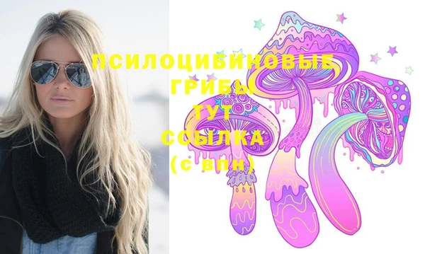 крисы Алексеевка