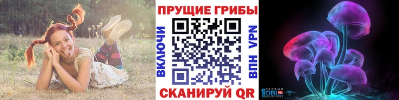 Псилоцибиновые грибы MAGIC MUSHROOMS  Купить  Тихорецк 